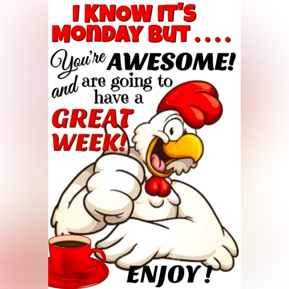 ✨✨HAPPY MONDAY ALL… ✨✨